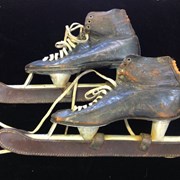 Cover image of Speed Skates